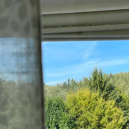 Waldblick