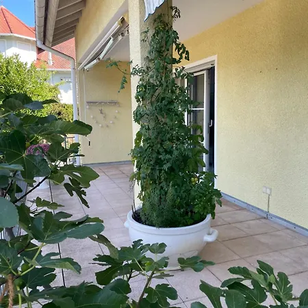 Waldblick Apartment *