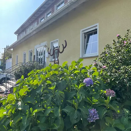 Waldblick Apartment Scheidt (Rhein-Lahn)